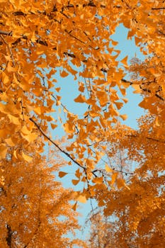  前两月金融总量强劲增长；社融规模突破新高，政策效应逐步显现。 股票财经 前两月金融总量强劲增长；社融规模突破新高，政策效应逐步显现。 股票财经