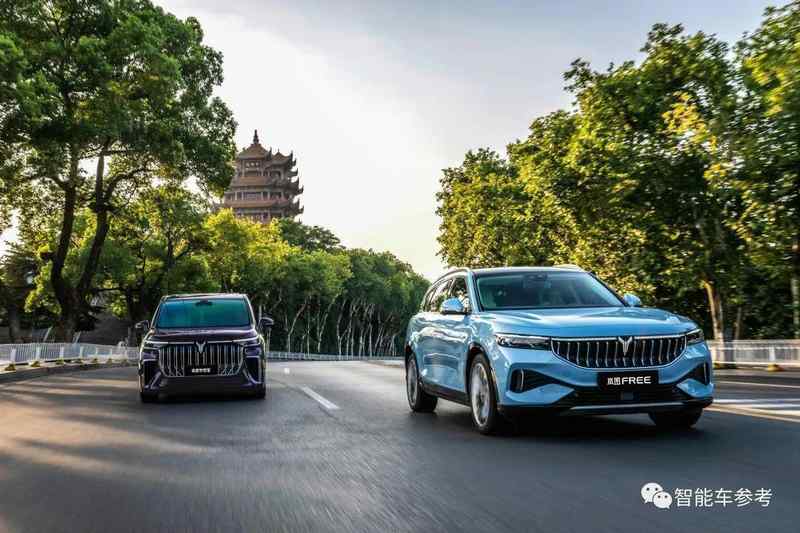  新能源车企管理者：如何在传统巨头的阴影下破局重生 企业服务