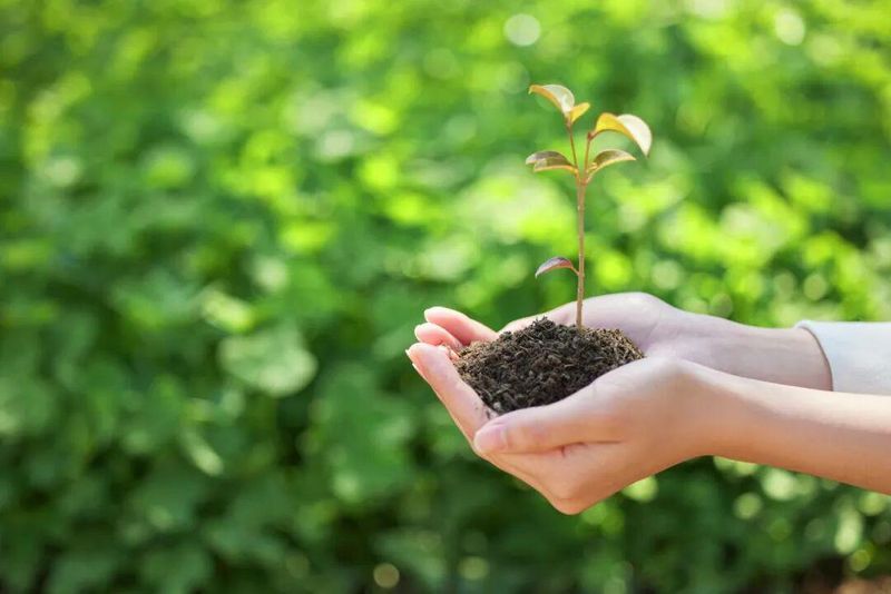  【假期实践指南】：通过三个微观视角引导孩子探索生命意义的路径 教育招生