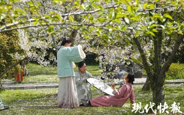  爆发式增长的逻辑：从赏花到科技，文旅消费的进阶密码 IT技术