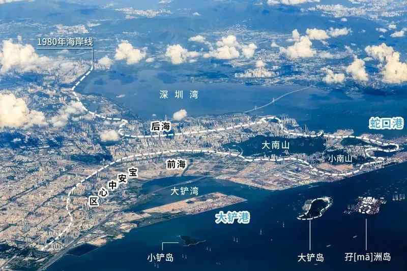 深圳房价鸿沟:同一小区三个月差价千万,楼层与楼栋如何左右你的资产? 房产家居