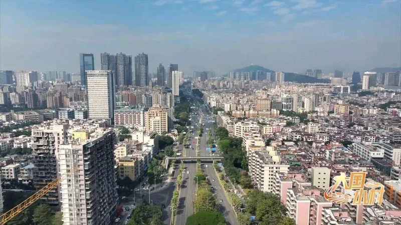 深圳房价鸿沟:同一小区三个月差价千万,楼层与楼栋如何左右你的资产? 房产家居