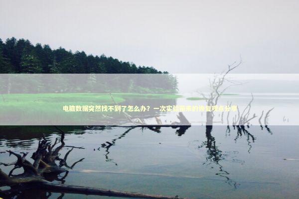 电脑数据突然找不到了怎么办？一次实验带来的恢复观点分享 新闻