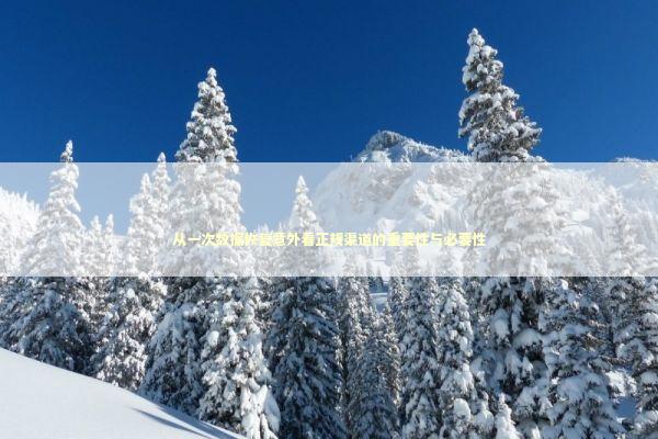 从一次数据恢复意外看正规渠道的重要性与必要性 IT技术