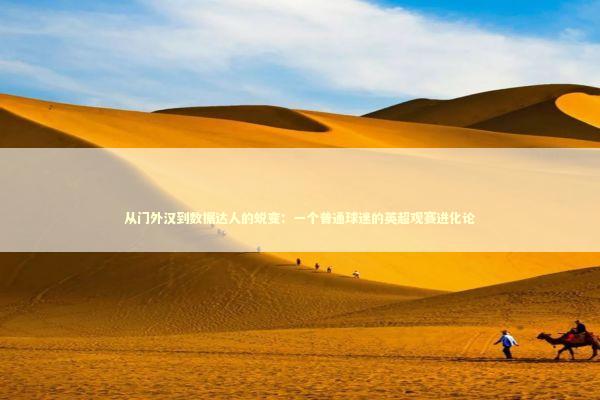 从门外汉到数据达人的蜕变：一个普通球迷的英超观赛进化论