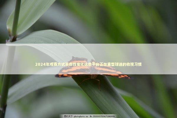 2024年观赛方式革命性变化这些平台正在重塑球迷的收视习惯