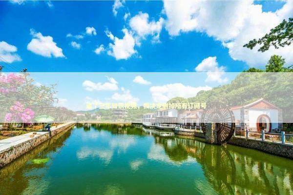 追了三年知识视频，我决定删掉所有订阅号